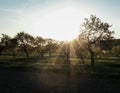 Sunset over upper Austria