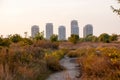 View of Vacaresti Nature Park area and city skyscrapers Royalty Free Stock Photo