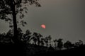 Sunset over Valparai, India