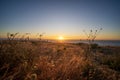 Sunset over the vast landscape of Cape Jervis Royalty Free Stock Photo