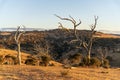 Sunset over the vast landscape of Cape Jervis Royalty Free Stock Photo