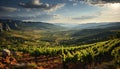 Sunset over a vineyard, mountains, and green meadows in autumn generated by AI Royalty Free Stock Photo