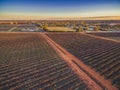 Sunset over vineyards in Riverland.