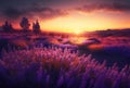Sunset over a violet lavender field. Generative AI Royalty Free Stock Photo
