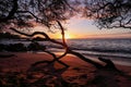 Sunset over Waialea bayviewed from Beach 69, Big Island, Hawaii. Royalty Free Stock Photo