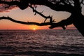 Sunset over Waialea bay viewed from Beach 69, Big Island, Hawaii. Royalty Free Stock Photo