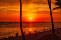 Sunset over waikiki beach on hawaii with palm trees Royalty Free Stock Photo