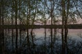 Sunset over water and trees Royalty Free Stock Photo