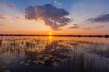 Sunset over the waters of the Okavango Delta Royalty Free Stock Photo