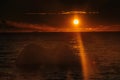 Sunset over the Weddell Sea