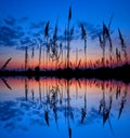 Sunset over a wetland Royalty Free Stock Photo