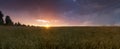 Sunset over wheat field. Royalty Free Stock Photo
