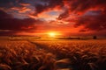 Sunset over wheat field. Dramatic sky. Beauty world, sunset over the field, AI Generated Royalty Free Stock Photo