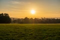 The sunset over wheat field in Germany Royalty Free Stock Photo