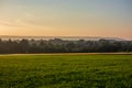 The sunset over wheat field in Germany Royalty Free Stock Photo