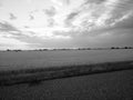 Sunset over wheat field in grayscale Royalty Free Stock Photo