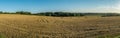 Sunset over a a wheat field in the harvest time with a windmill. Bavaria, Germany.