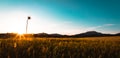 Sunset over wheat field and mountain in the background Royalty Free Stock Photo