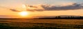 Sunset over the wheat field panoramic view Royalty Free Stock Photo