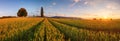 Sunset over wheat field. Royalty Free Stock Photo