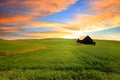 Sunset over wheat fields in Palouse Royalty Free Stock Photo