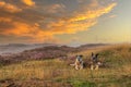 Sunset over a wide moorland landscape BalloÃÂ«rveld with rolling hills Royalty Free Stock Photo