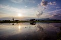 Sunset over wild lake after rain Royalty Free Stock Photo