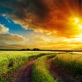 Sunset over winding road in field Royalty Free Stock Photo