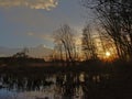 Sunset over winter wetland landscape with bare tree silhouettes reflecting in the water
