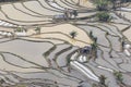 Sunset over YuanYang rice terraces in Yunnan, China, one of the latest UNESCO World Heritage Sites Royalty Free Stock Photo