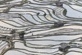 Sunset over YuanYang rice terraces in Yunnan, China, one of the latest UNESCO World Heritage Sites Royalty Free Stock Photo