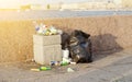 Sunset, An Overflowing Trash Bin , Full Plastic Packaging And Scattered Garbage On The Embankment.