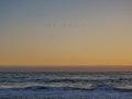 Sunset upon the Pacific ocean, kelp and sea birds, Orange and yellow sky. Boundless waters.