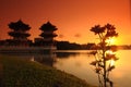 Sunset, pagoda and flower in the park