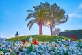 The sunset through the palm on Piazza Giosue Carducci, Sirmione, Italy Royalty Free Stock Photo