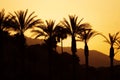 Sunset Palm Springs Royalty Free Stock Photo