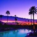 Sunset in Palm Springs with a Matte Violet Color Grading Background of palm trees and Location Coachella Valley in
