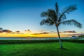 Sunset and a palm tree under blue sky along the coast at Ko Olina on the West Coast of Oahu Royalty Free Stock Photo