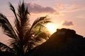 Sunset and palm trees