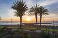 Sunset and palm trees in Costa Adeje, Tenerife, Canary islands, Spain Royalty Free Stock Photo