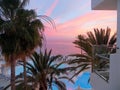 Sunset and Palm Trees, Gran Canaria Royalty Free Stock Photo