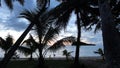 The sunset through palm trees in Guam Royalty Free Stock Photo