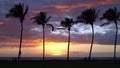 Sunset with Palm Trees in Hawaii