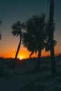 Sunset. Palm trees on the ocean beach. Florida paradise. Clearwater Beach Florida. Photo good for travel agency Royalty Free Stock Photo