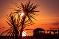 Sunset Palm Trees Over The Sea. Summer tropical blurred cafe silhouette on beach vacation relax Lounge music backgroun Royalty Free Stock Photo