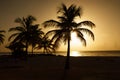 Sunset and palm trees at Pigeon Point Beach Heritage Park in the Caribean sea on Tobago