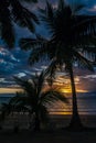 Sunset on palm trees