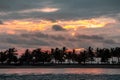 Sunset palms 2 Royalty Free Stock Photo