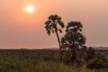 Sunset in Palmwag Reserve, Namibia