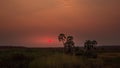 Sunset in Palwag lodge in Damaraland, Namibia